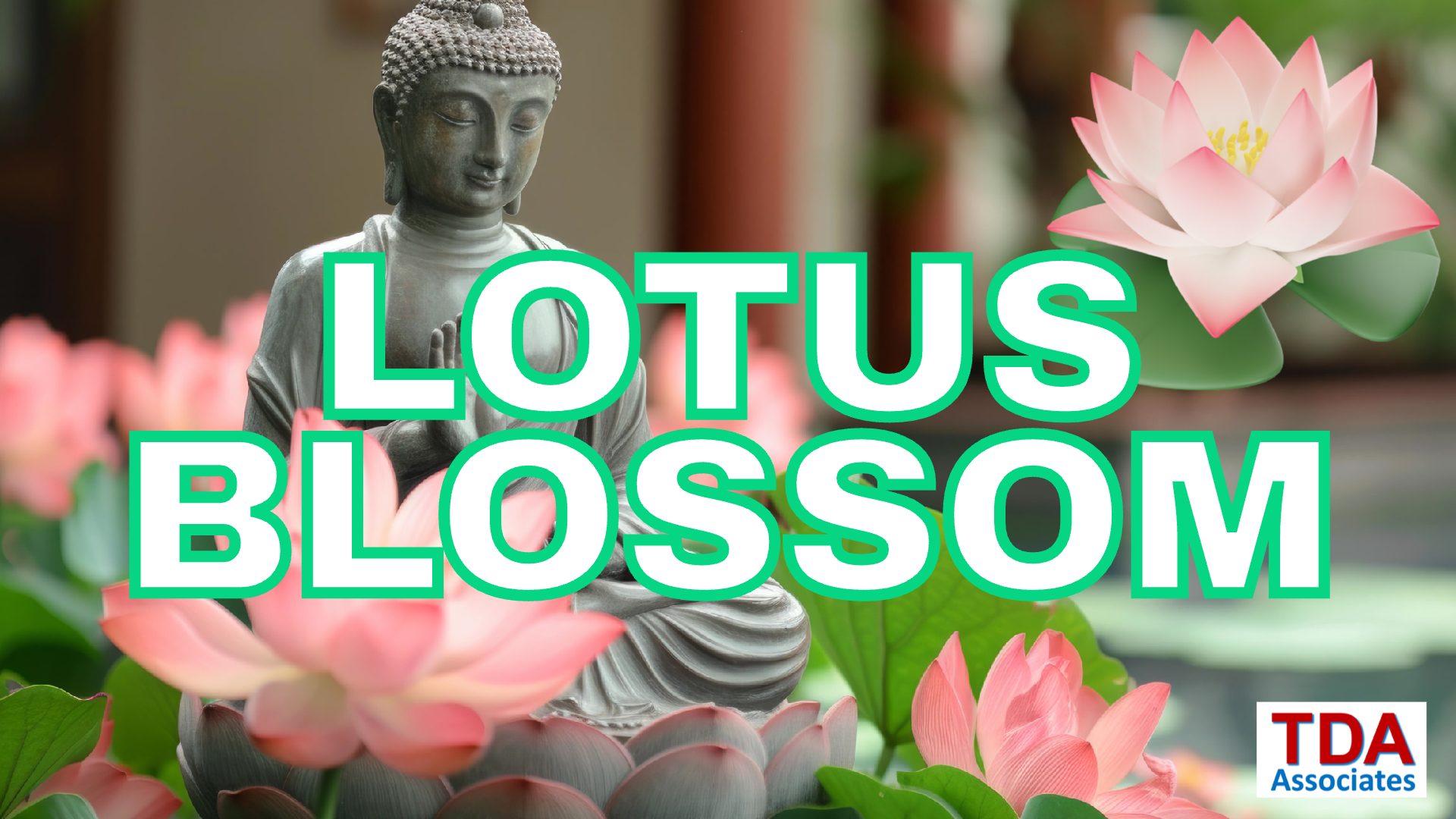 Lotus Blossom Cover