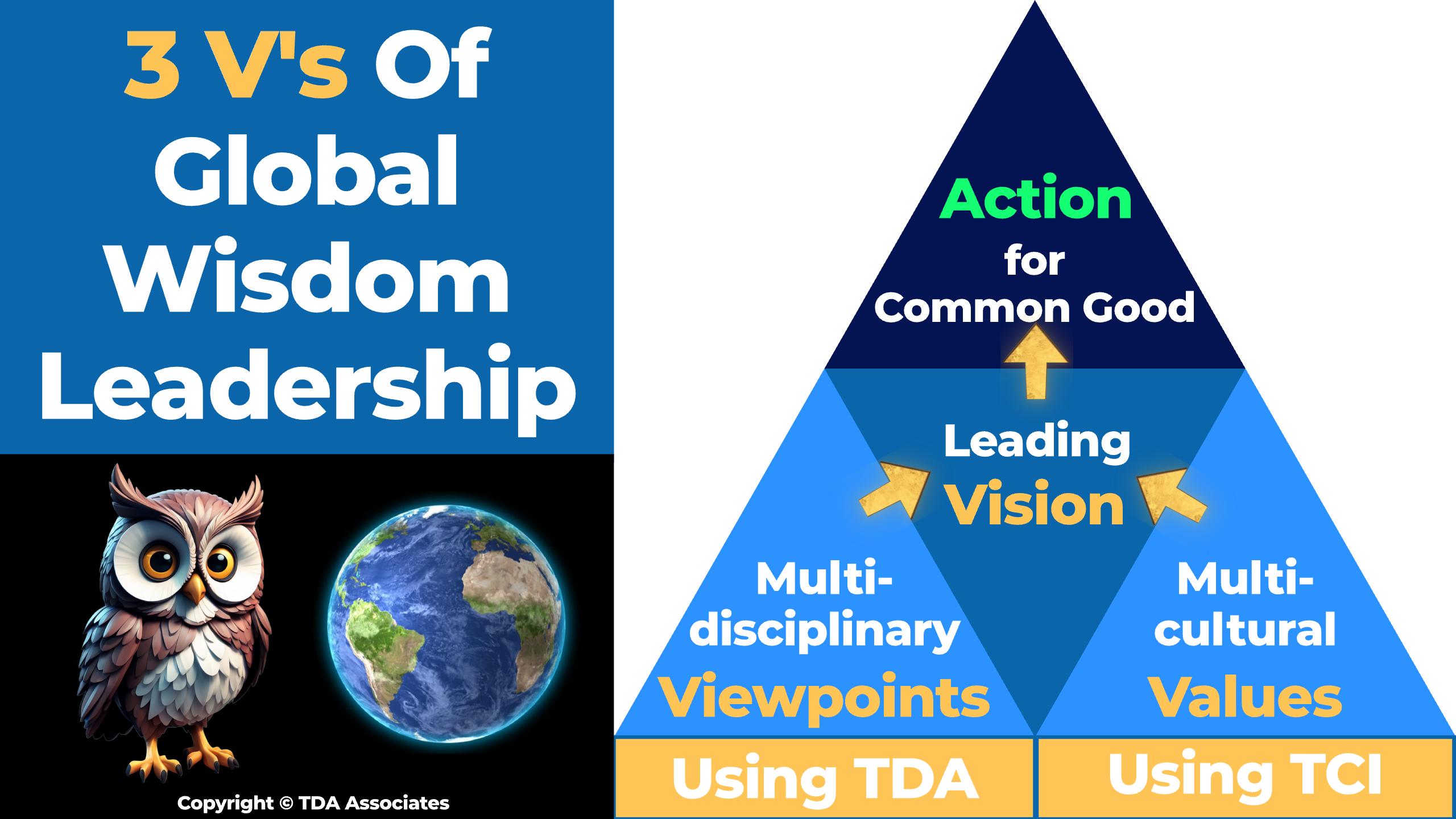 3 V's of Global Wisdom Leadership QHD